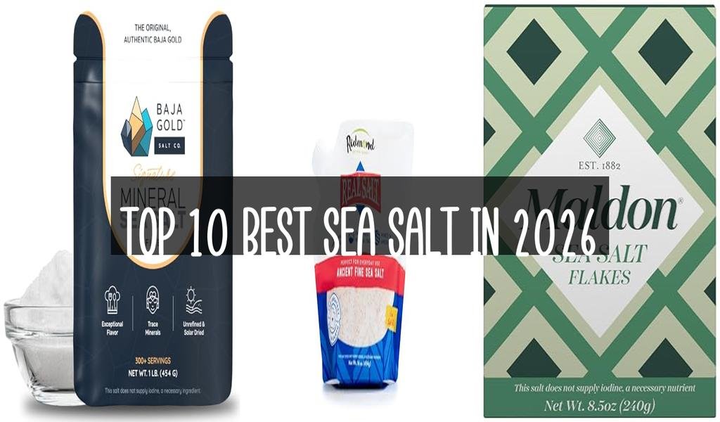 Top 10 Best Sea Salt in 2026